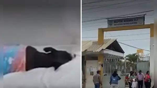 Doctora atiende con su perro echado en camilla para pacientes en hospital de Tumbes: "No quiero que lo cojas"