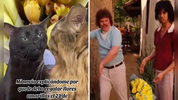 Flores amarillas: los mejores memes para celebrar el 21 de septiembre con humor