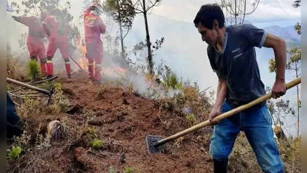 Bono de S/1.000 impulsará capitalización agraria tras incendios forestales, según Conveagro