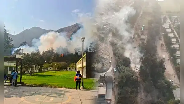 Tristes imágenes de incendio forestal en Alto Huampaní Lurigancho-Chosica que fue controlado por Bomberos
