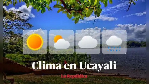 Clima en Ucayali, vía Senamhi: temperaturas máximas y mínimas por distritos este 1 de junio