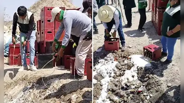 Cientos de botellas de cerveza son desechadas en Arequipa y usuarios quedan en shock