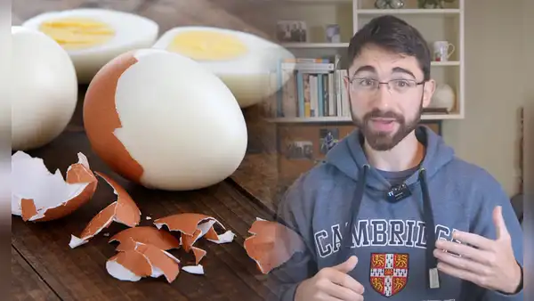 Estudiante de Harvard revela qué pasó tras comer 24 huevos al día por un mes para medir el nivel de su colesterol