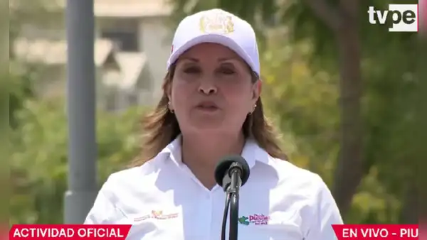 Presidenta Dina Boluarte sobre incremento de la delincuencia: “El que delinque es porque no tiene un ingreso, seguramente"