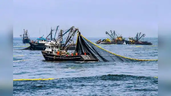 Producción pesquera cayó 27,78% en agosto