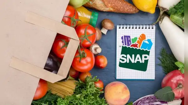 Cupones de alimentos SNAP en California: cuál es el monto que recibirás y qué puedes comprar en Estados Unidos en 2024