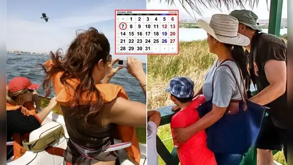 7 de octubre: ¿es feriado o día no laborable en Perú? Esto dice El Peruano