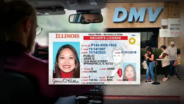 Real ID en USA 2024: los 7 pasos para conseguir la licencia de conducir en Estados Unidos