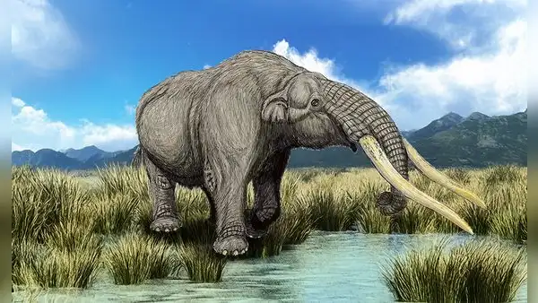 Los mastodontes que habitaron en Junín