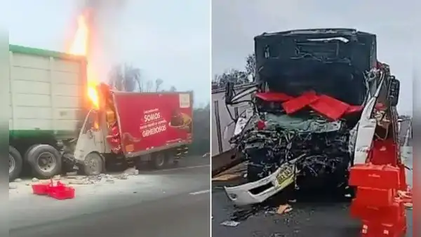 Chincha: accidente en la Panamericana Sur deja 3 fallecidos por choque entre camión de pollos y tráiler