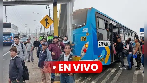 Paro de transportistas HOY 11 de octubre EN VIVO: gremios acatan segundo día de huelga, líneas no operan y ÚLTIMAS NOTICIAS