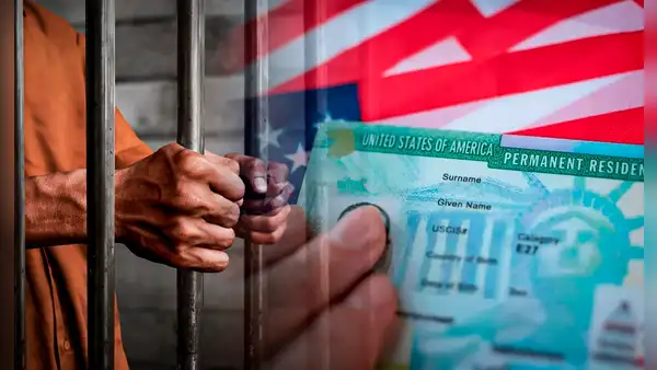 Green Card 2024: la multa y el tiempo que estarías en prisión si no portas la tarjeta verde de residencia en EE. UU.