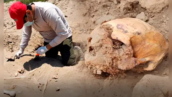 Hallazgo en Lambayeque: entierros humanos junto a animales en excavación arqueológica de Monsefú