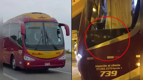 Atacan a balazos a vehículo 'Perú bus' con pasajeros a bordo: unidad no se detuvo en su ruta hacia Ica