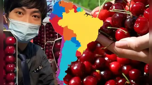 El boom de las cerezas de Sudamérica en China: cómo este país conquistó el mercado chino con 377.000 toneladas exportadas al año