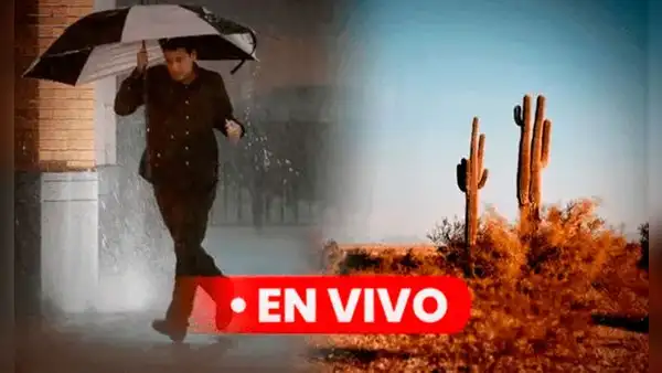 Clima en Estados Unidos HOY: pronóstico del tiempo en Texas este 22 de octubre, según NWS