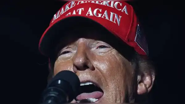 Estrellas porno piden a los hombres votar contra Donald Trump