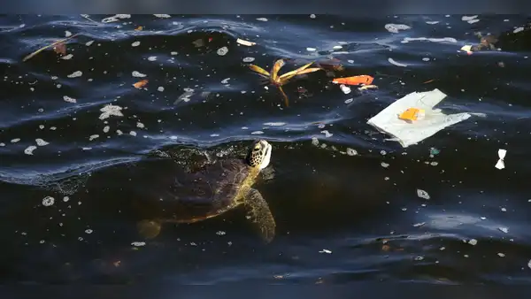 El país de Sudamérica que tira más residuos plásticos al océano, según estudio: 1,3 millones de toneladas al año