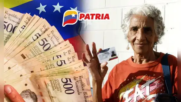 Amor Mayor HOY, 3 de noviembre 2024: Aguinaldo, BONOS, NUEVOS MONTOS y lista de pensionados vía Vicesocial