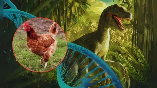 Proyecto 'Pollosaurio': el deseo del paleontólogo de EE. UU. Jack Horner de traer a la vida a un dinosaurio vivo