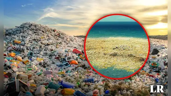 Frente al mar de Perú existe una enorme isla de basura, del tamaño de México, que contamina la vida marina: también afecta a Chile