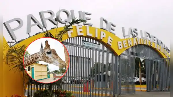 Parque de las Leyendas suspende temporalmente una de sus atracciones más visitadas, ¿qué pasó?