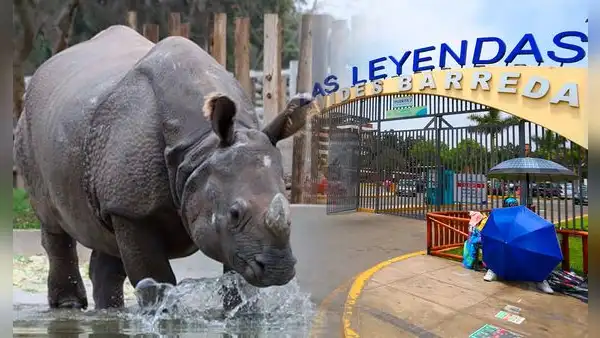 Visita el Parque de las Leyendas con entradas a mitad de precio en noviembre: fechas, requisitos y beneficiarios