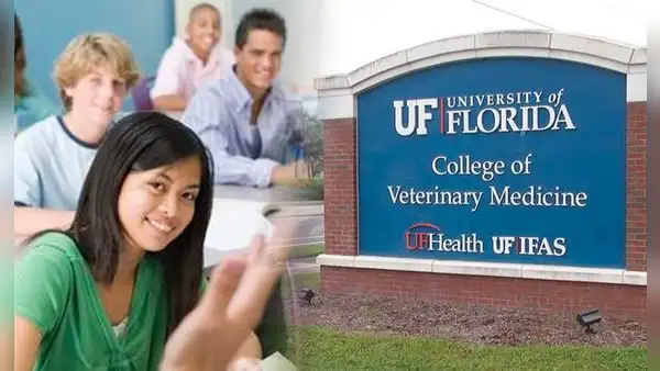 Estados Unidos 2024: los tipos de becas para estudiantes inmigrantes en Florida y cómo acceder