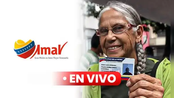 Amor Mayor EN VIVO HOY, 11 de noviembre 2024: pago de aguinaldo, monto oficial, nuevos pensionados y buenas noticias