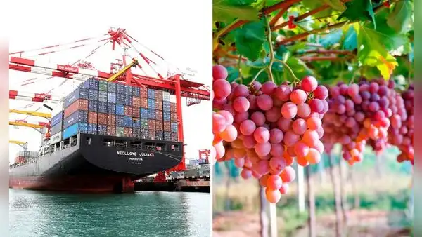 Perú en el top 5 de mayores exportadores de América Latina y El Caribe: ¿cuáles fueron los productos más solicitados?