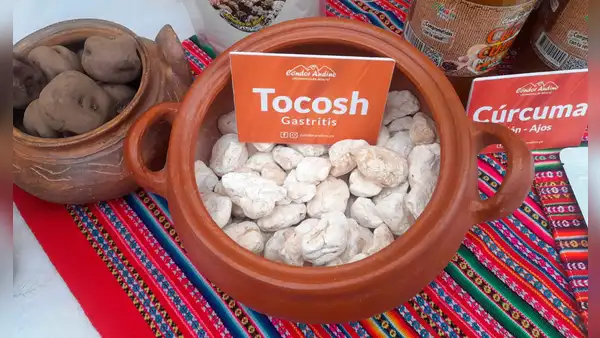 ¿Para qué sirve el tocosh? Beneficios y propiedades del alimento andino peruano