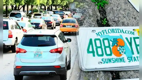 Conducir con placas personalizadas en Florida: las consecuencias legales y cómo afectan a conductores en EE. UU.