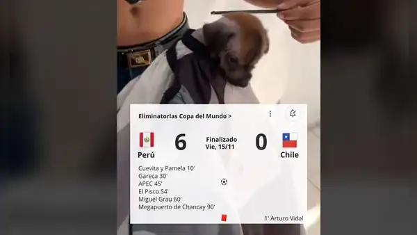 Los mejores memes previo al Perú vs. Chile por las Eliminatorias: “El clásico es ganarte”