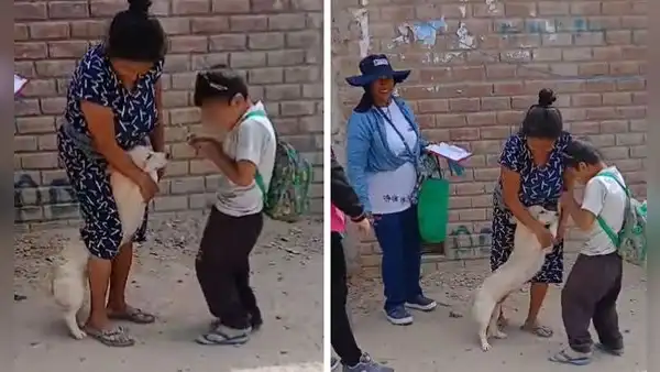 Niño enternece al bailarle a su perrito para distraerlo de su vacuna: “¡Todo estará bien, amigo!”
