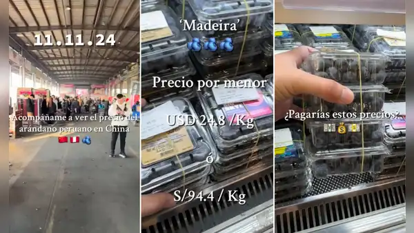 Peruano visita mercado en China y queda atónito por precio de kilo de arándanos a S/100: "En mi barrio está S/3"