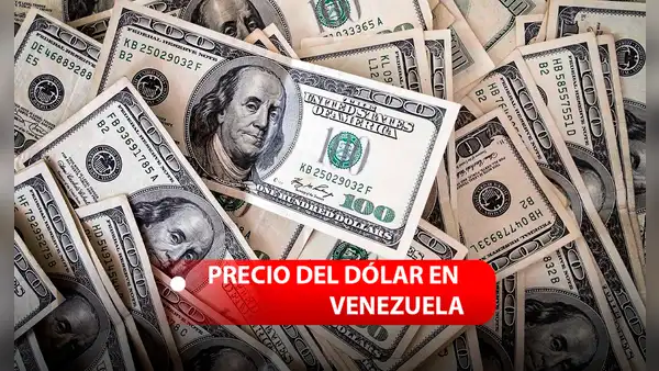 Precio de Monitor Dólar HOY, martes 19 de noviembre: cuál es la cotización del dólar en Venezuela en el mercado paralelo