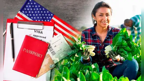 Buenas noticias, inmigrantes en EE. UU.: la nueva visa que te permitiría trabajar temporalmente de manera legal