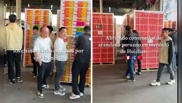 Ciudadanos asiáticos sorprenden al aglomerarse por el arándano peruano en mercado de China