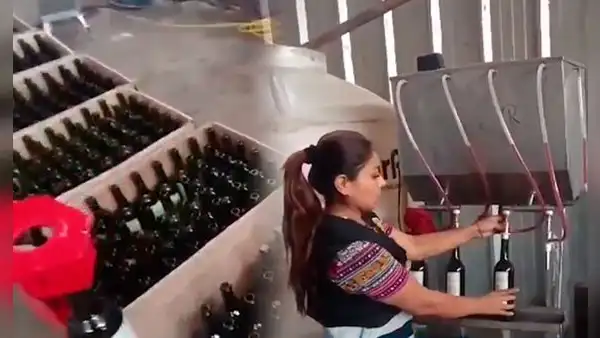 Intervienen fábrica de bebidas alcohólicas adulteradas en Puente Piedra: 30,000 litros de vino iban a comercializarse