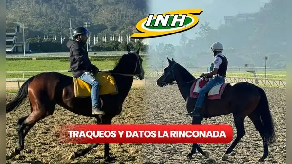 Traqueos y datos 5y6 La Rinconada EN VIVO, 24 de noviembre: sigue los pronósticos de Gaceta Hípica y Cordialito