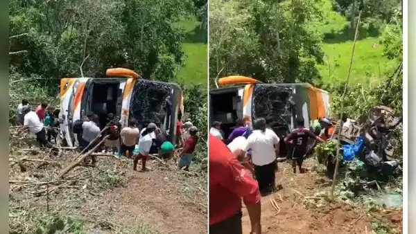 Bus de Movil Bus que transportaba una promoción escolar se despista en Moyobamba: accidente deja 11 fallecidos y varios heridos