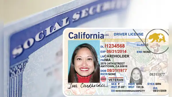 Licencia de conducir en Florida para inmigrantes: los documentos obligatorios que debes tener para tu trámite en USA