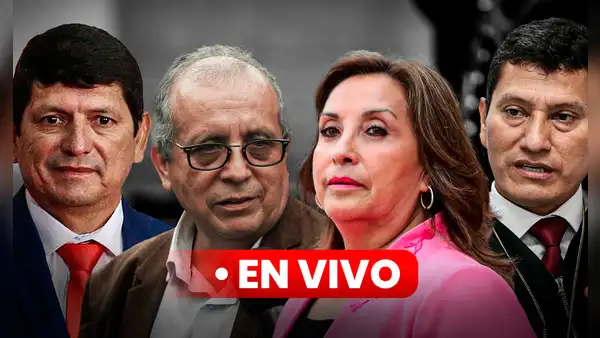 Cuarto Poder, Panorama, Punto Final EN VIVO: hoy domingo 24 de noviembre, últimas NOTICIAS de los dominicales