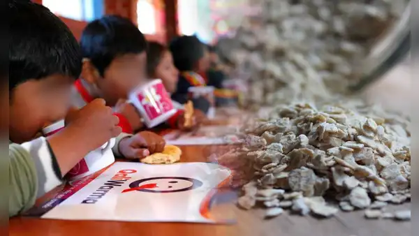 Análisis revela que la avena distribuida por Qali Warma a los escolares contenía moho