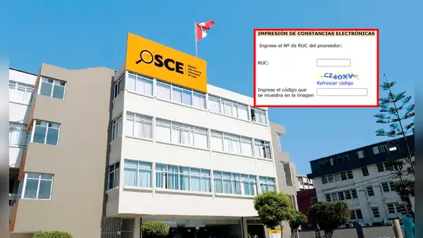 ¿Necesitas tu constancia del Registro Nacional de Proveedores? Aprende cómo obtenerla e imprimirla fácilmente