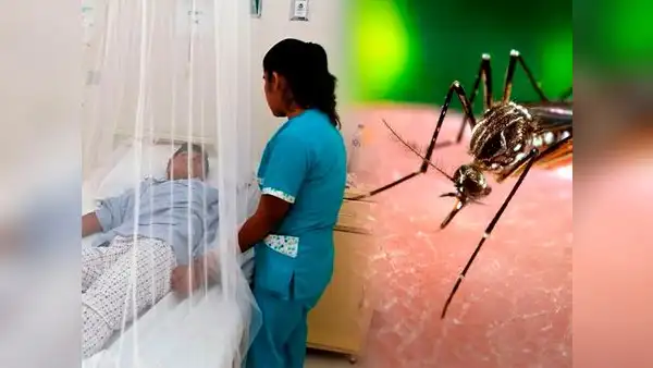 Dengue pone en alerta epidemiológica a Perú: EsSalud reporta que casos superan los 90.000 y se concentran en el norte