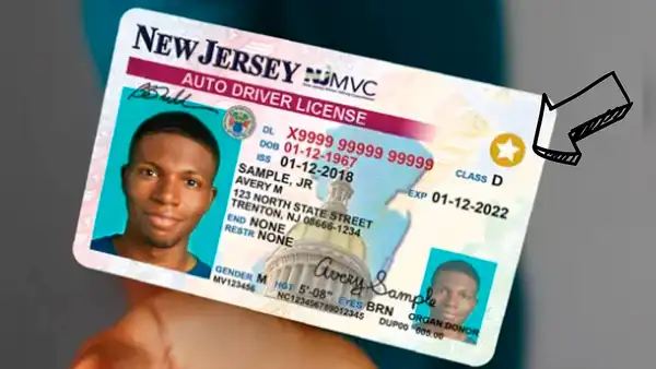 Licencia de conducir en Nueva Jersey: estos son los requisitos que necesitas para obtener el Real ID de forma rápida