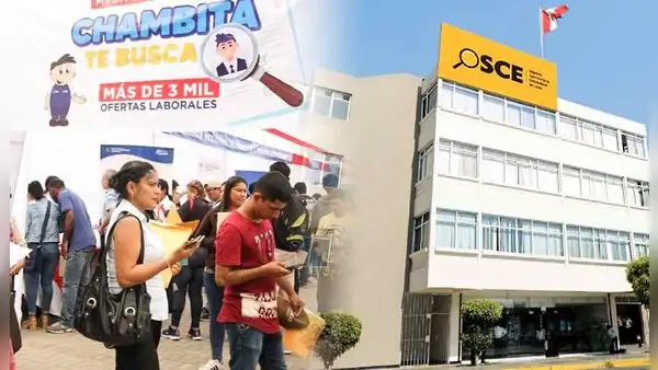 OSCE ofrece más de 28 ofertas laborales en Lima: conoce cómo postular y cuánto será el salario que recibirás