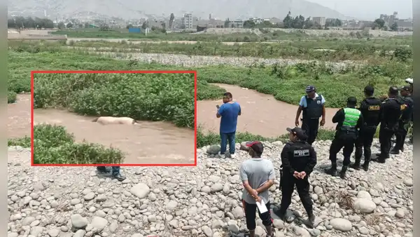 Aterrador hallazgo en río Rímac: encuentran cuerpo sin vida a la altura de la Carretera Central, en Ate