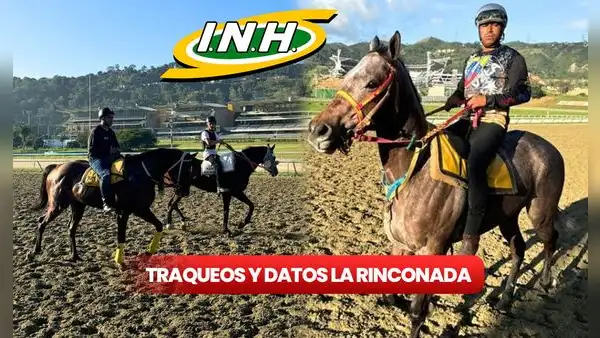 Traqueos y datos del 5y6 La Rinconada EN VIVO, 1 de diciembre: nuevos pronósticos de Gaceta Hipíca y Cordialito